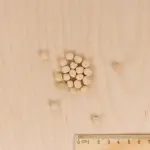 Légumes Secs - Pois Mangetout Normand - 20 m - MEDIA_3D